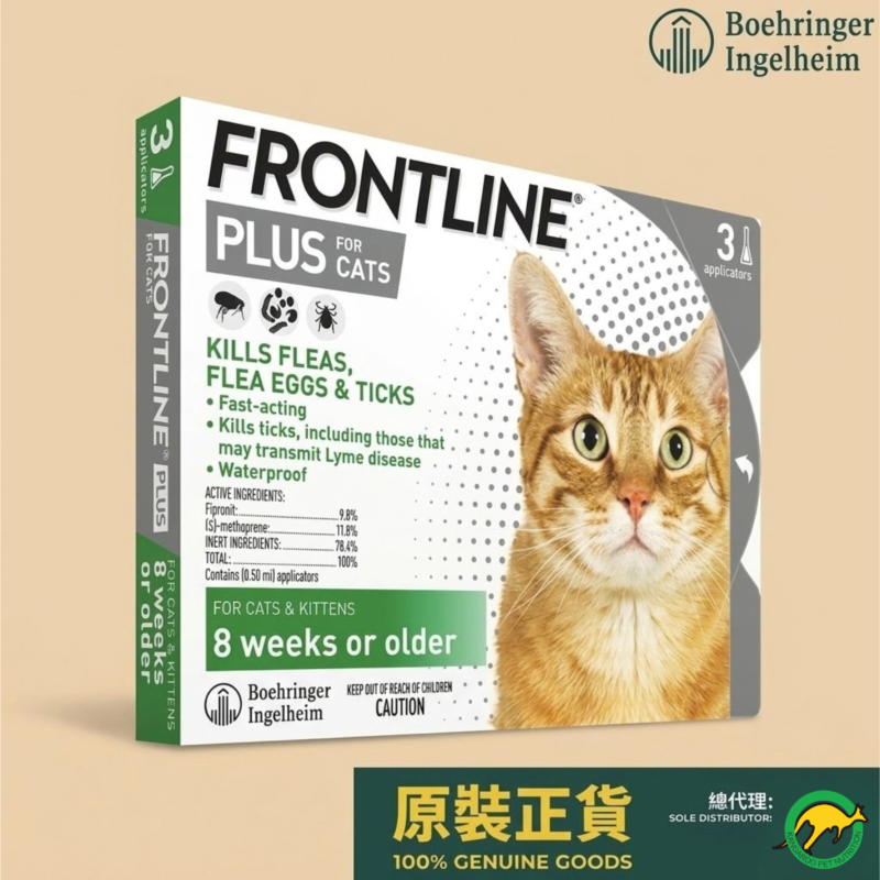 frontline